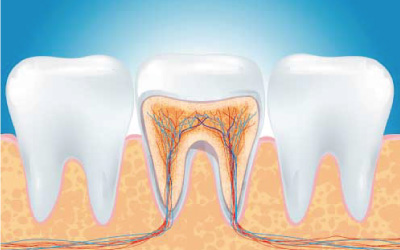 endodonzia